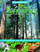 2004, Allis, Janet (Allis, Janet), Δάσος, Ανακαλύψτε ένα θαυμάσιο κόσμο, Lock, Deborah, Εκδόσεις Πατάκη