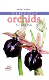 The Self-sown Orchids of Creece, , Αλιμπέρτης, Αντώνης, Mystis Editions, 2015