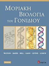 Μοριακή βιολογία του γονιδίου